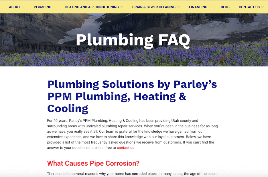 example of faq website page from plumbing company