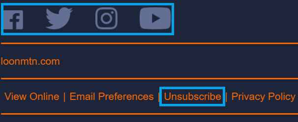 marketing metrics - example of unsubscribe and share buttons in a small business email 