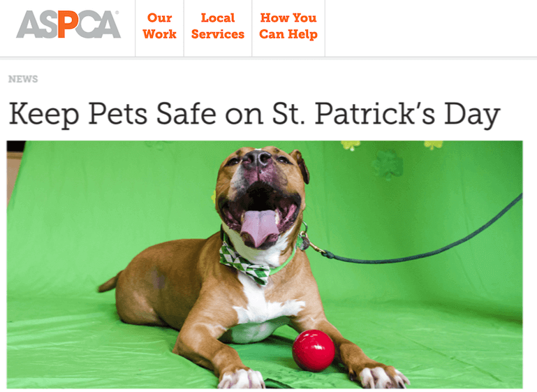 St Patricks day marketing - blog content on how to keep dog safe on st patricks day